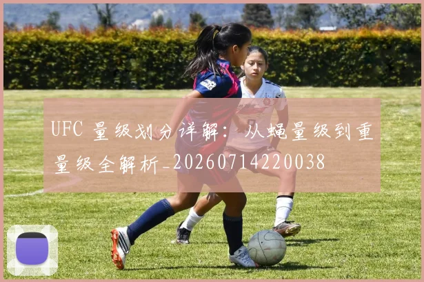 UFC 量级划分详解:从蝇量级到重量级全解析_20260714220038
