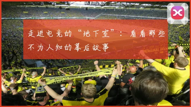 走进电竞的“地下室”:看看那些不为人知的幕后故事